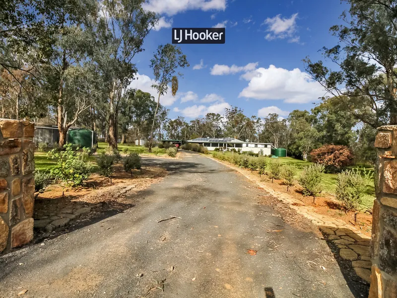 What More Could You Want Or Need??