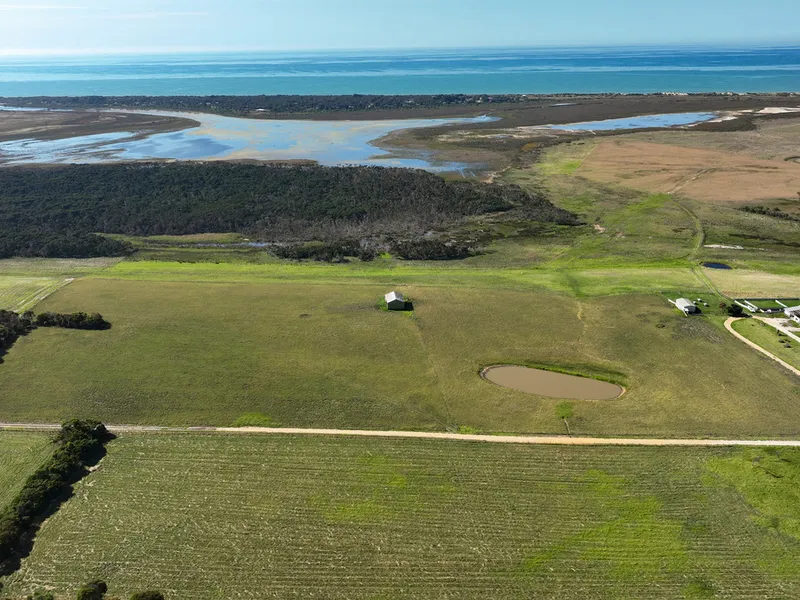 DIANELLA DOWNS - Where the Rangers Kiss the Coast