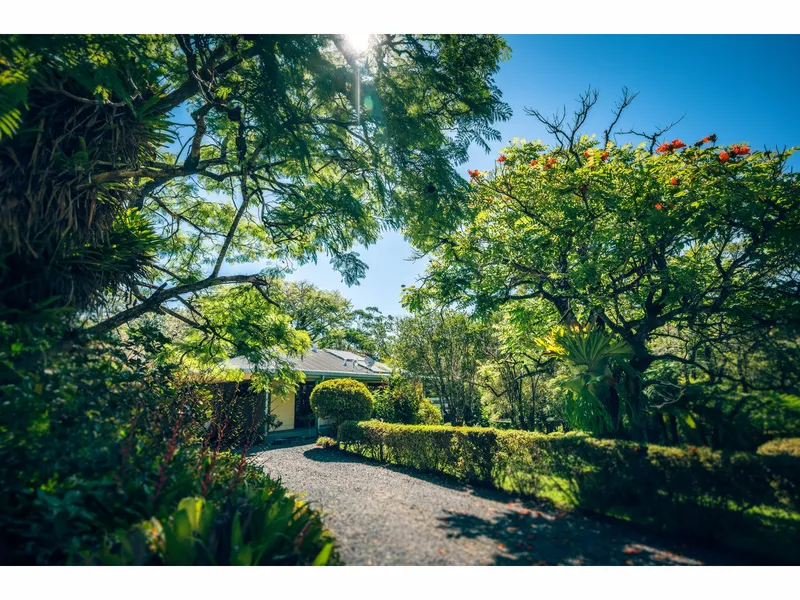 Secluded acreage only a stroll to the heart of Bellingen!