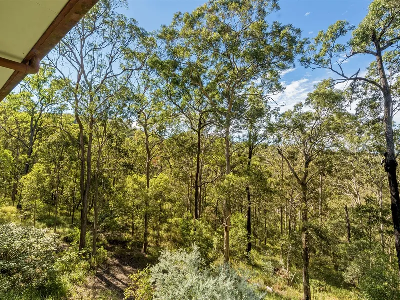 Beautiful Australian Bush. Never Be Built Out.