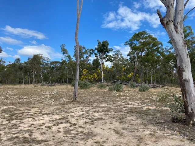 20 Acre Bush Block with Improvement - Under $100,000