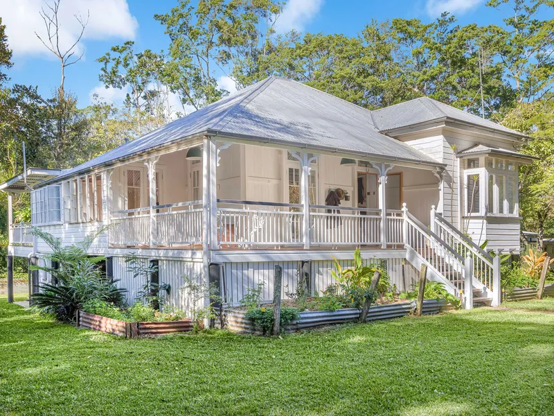 Welcome Home to 'Queenie'