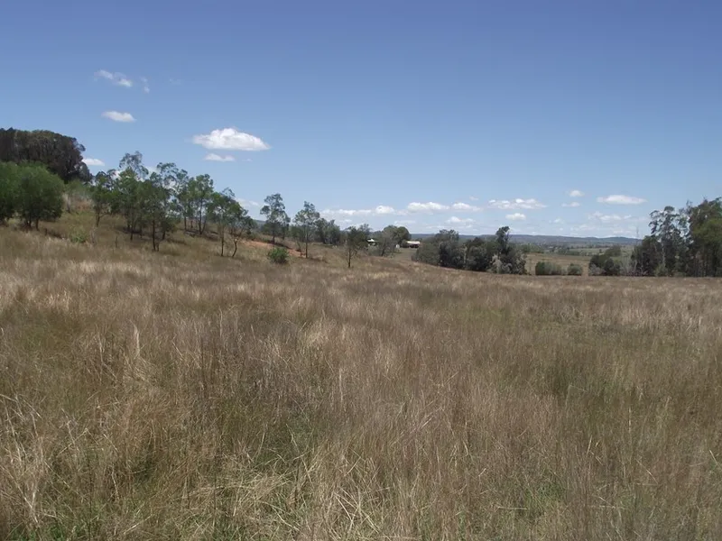 BULLOCK PADDOCK