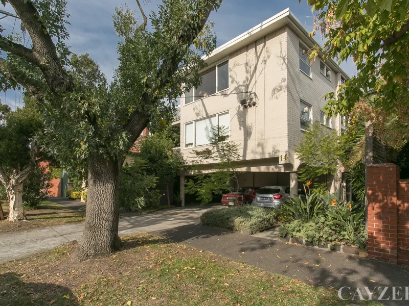 NEW RENOVATION + LEAFY OUTLOOK