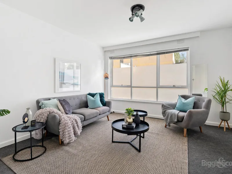 Affordable Elwood!