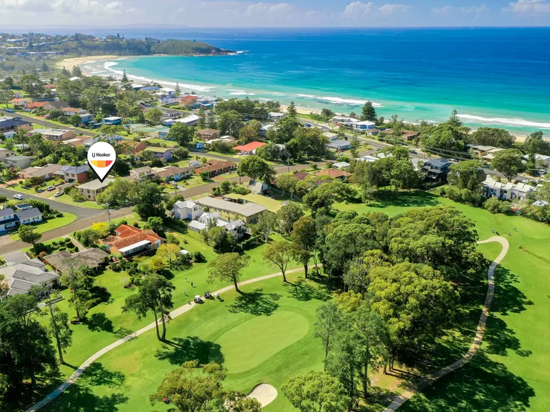 New To Market- AUCTION