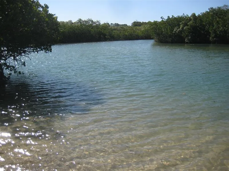 BUSH AND BEACH