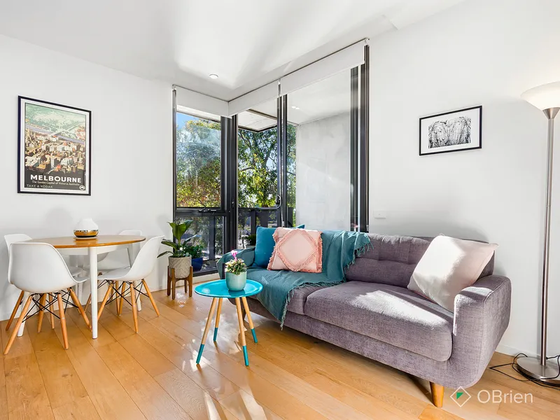 North facing and full of light