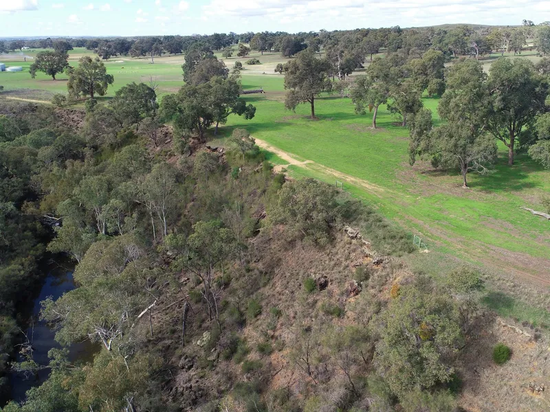 Moore River Magic