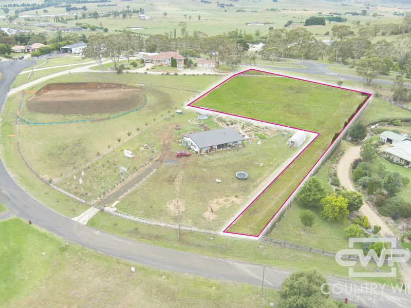 Exquisite Premium Building Block