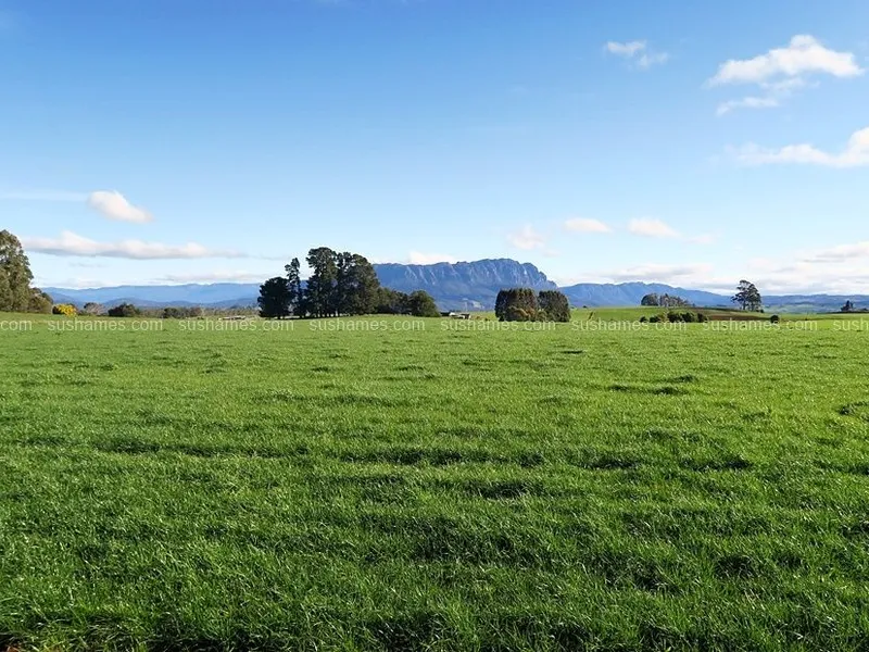 Prime agriculture farm on 4 titles, within 2-3 minutes of Sheffield