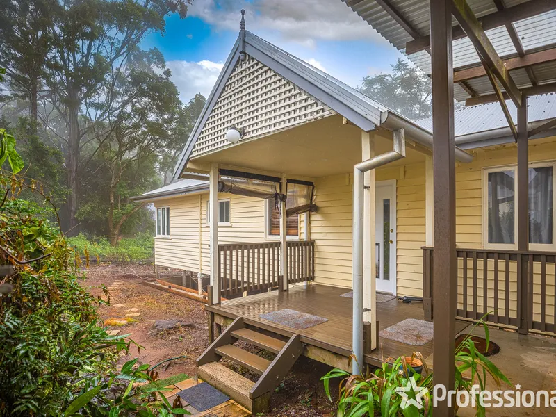 LIVE ON GALLERY WALK