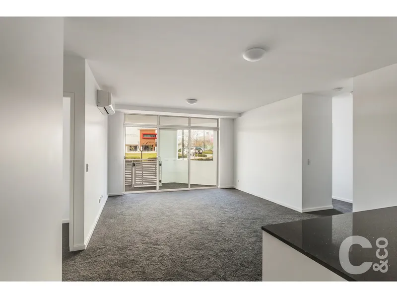 Modern Luxury Apartment