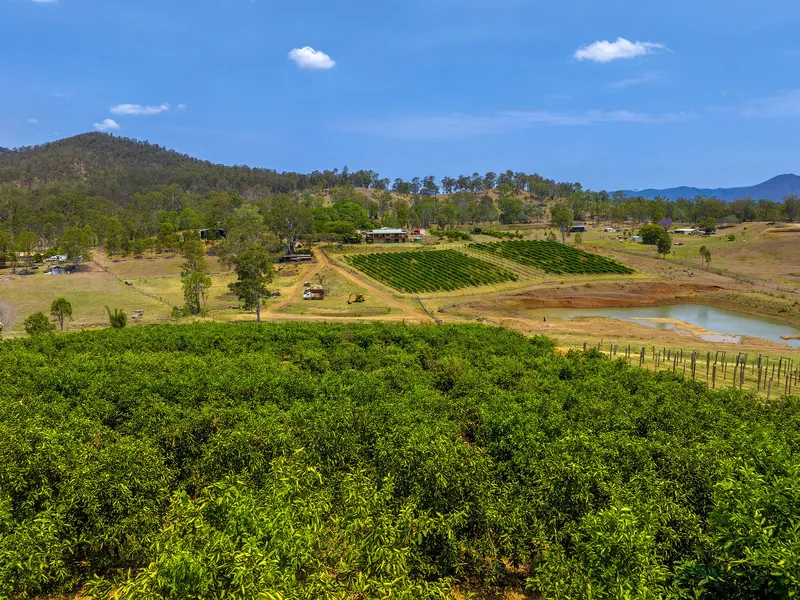 Income Producing Passionfruit & Lime Farm