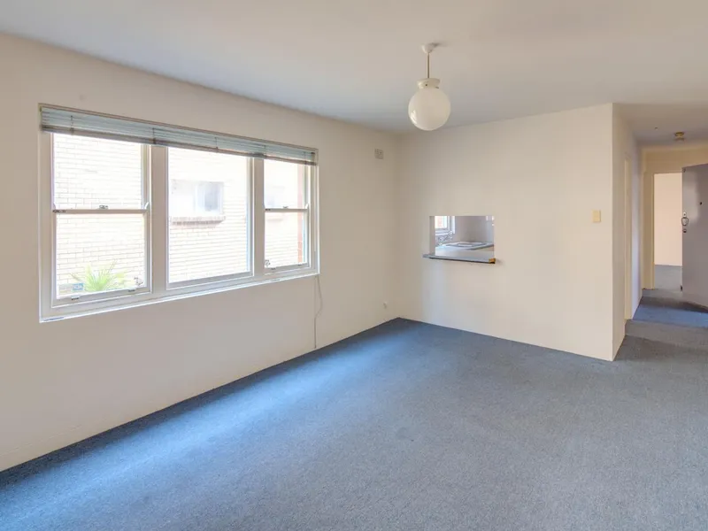 SPACIOUS ONE BEDROOM APARTMENT WITH PARKING AND LARGE BACKYARD