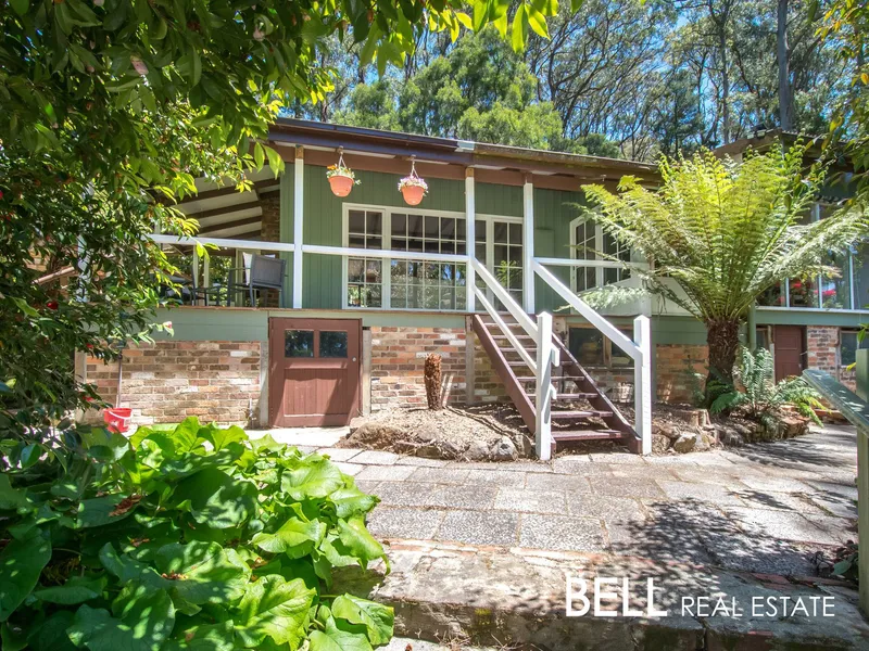 Vintage Retreat on Almost an Acre: The Only House in a Secluded Forest Paradise