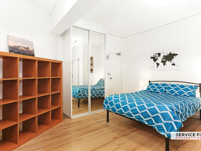 Centrally Located Furnished Apartment - One of the Largest Studios in the Building