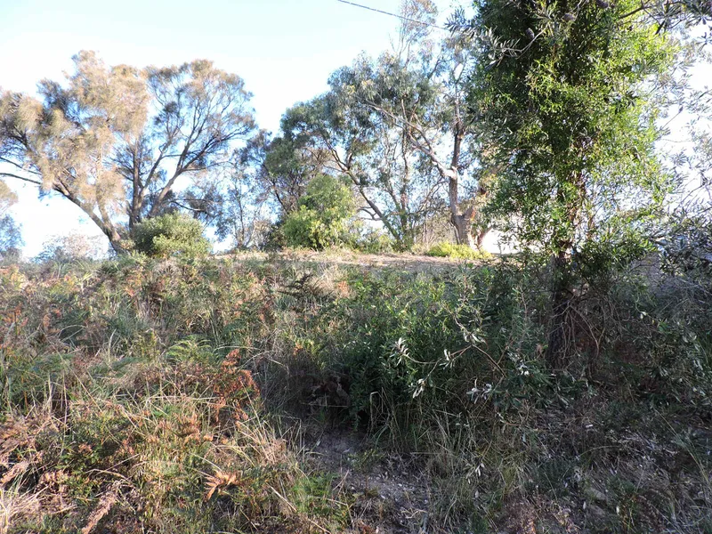 Views Over Farmland To The Victorian Alps.