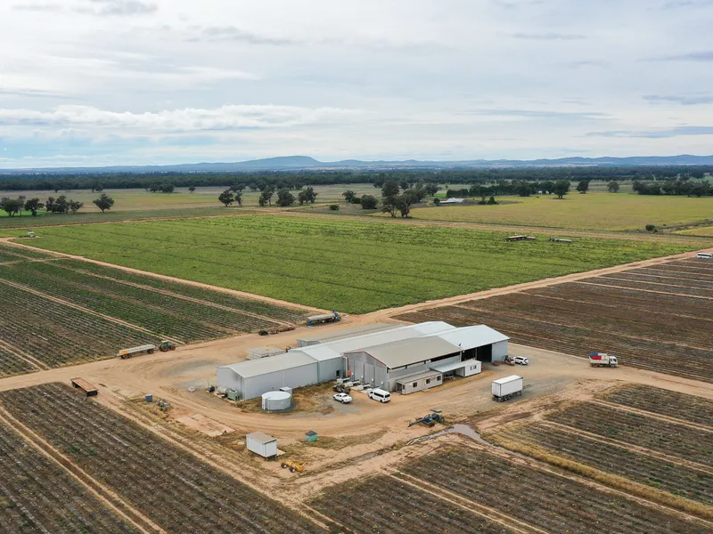 Highly Productive Irrigated Horticulture, Complete with Processing & Packaging