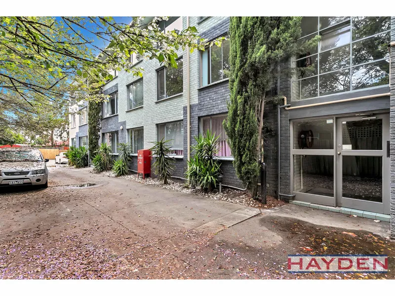 Light filled one bedroom apartment