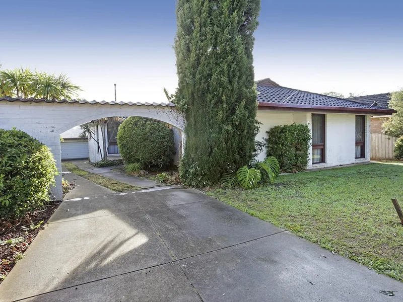 Charming Home in Central Belmont Location