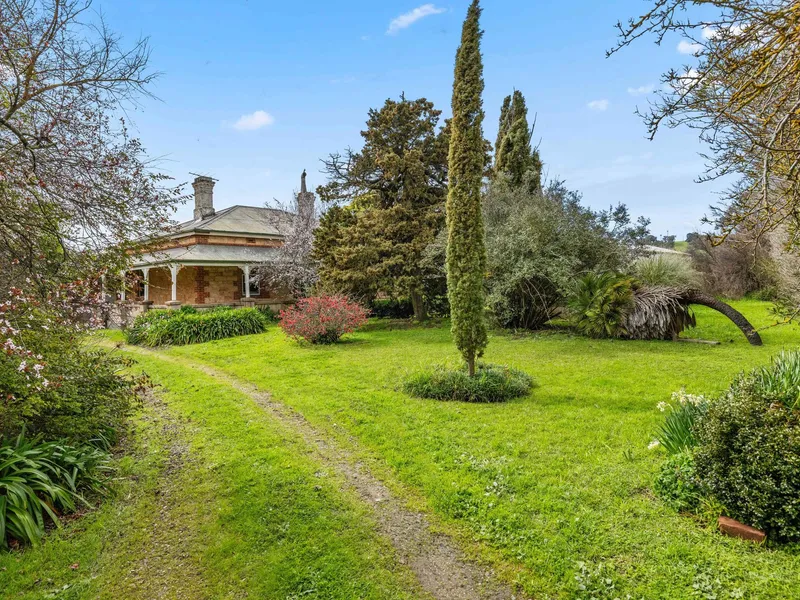 A diamond in the rough worth restoration gold…