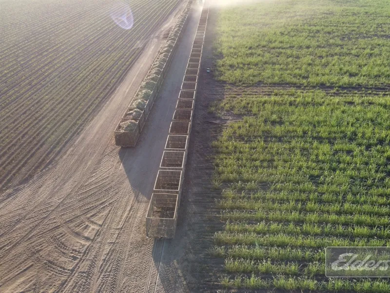 191 Acres on 2 titles CROP INCLUDED