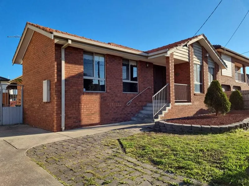 All you need on Benaroon