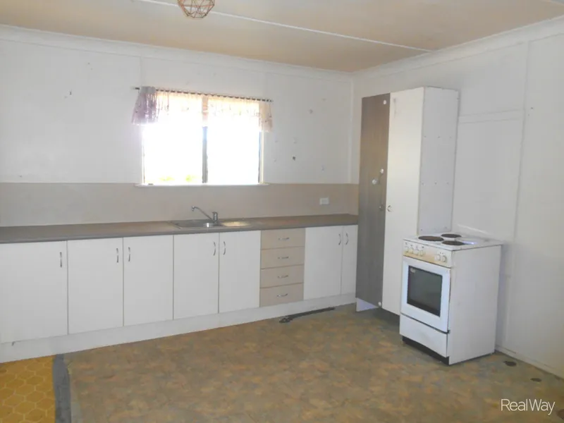Renovators Delight