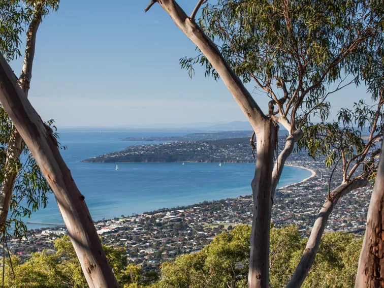 BUILD YOUR DREAM HOME