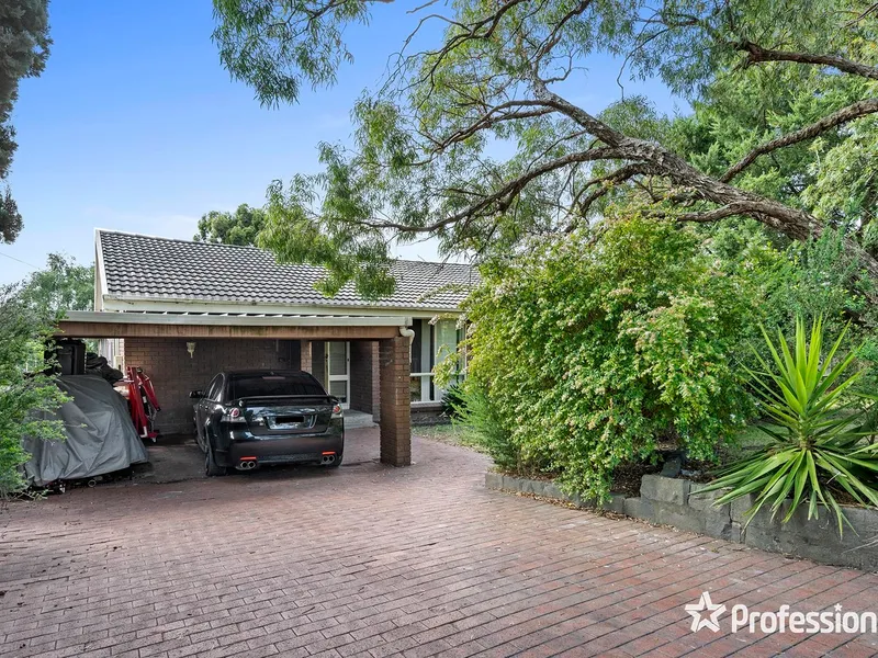 A SIZE SURPRISE FOR THE WHOLE FAMILY