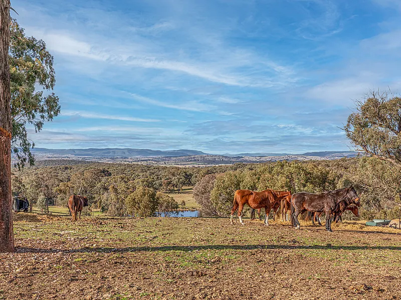 'Silver Vale' - Panoramic Views on 46 Acres*