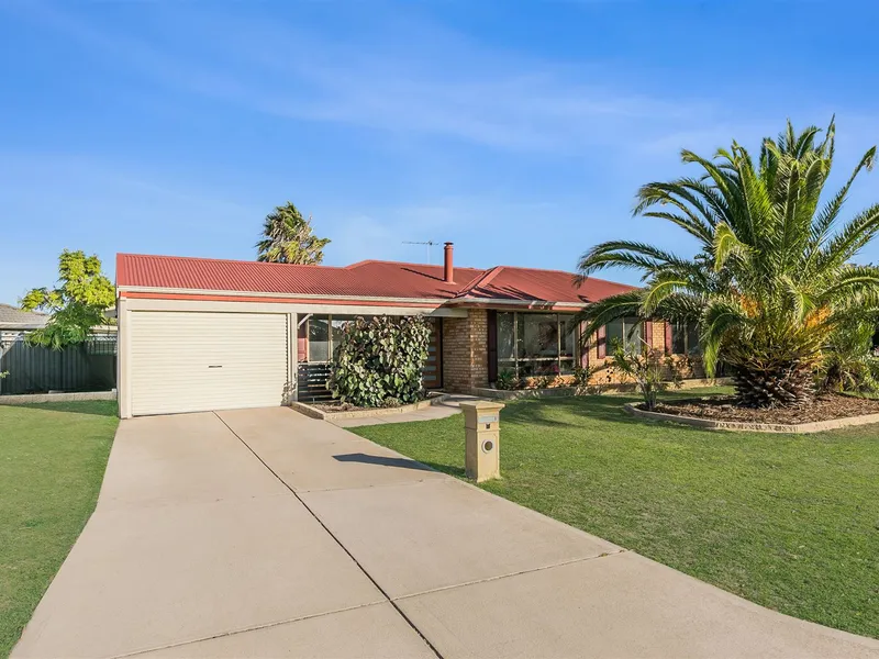 Absolute Show Stopper!!