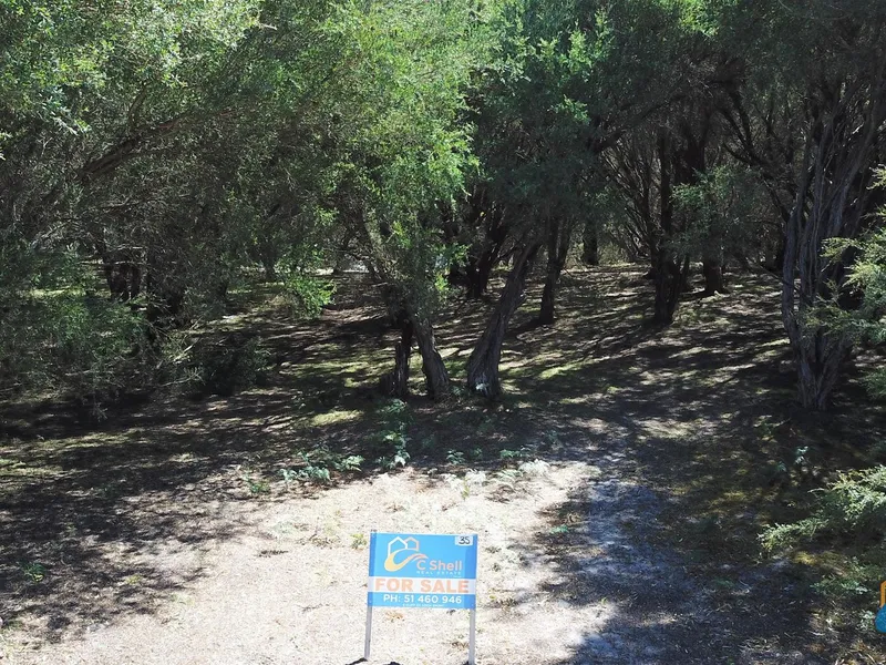 VIEWS OF LAKE REEVE!! 