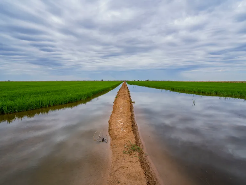 Coleambally Farms 590, 593 and 595.   Irrigated farming opportunity in the well renown Coleambally Irrigation Region