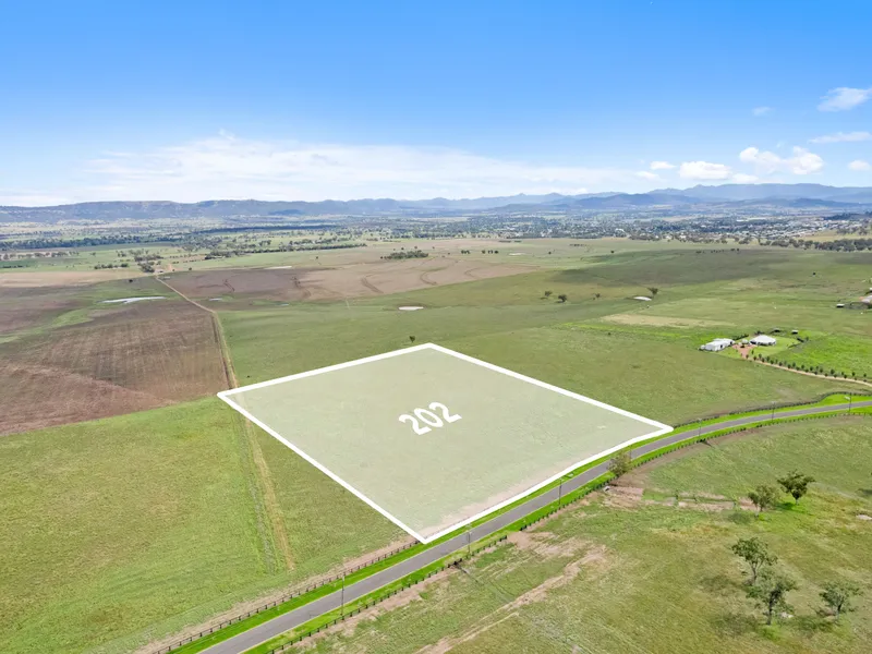 Lot 202 