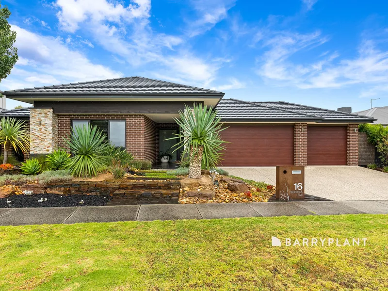 Perfect Family Entertainer!