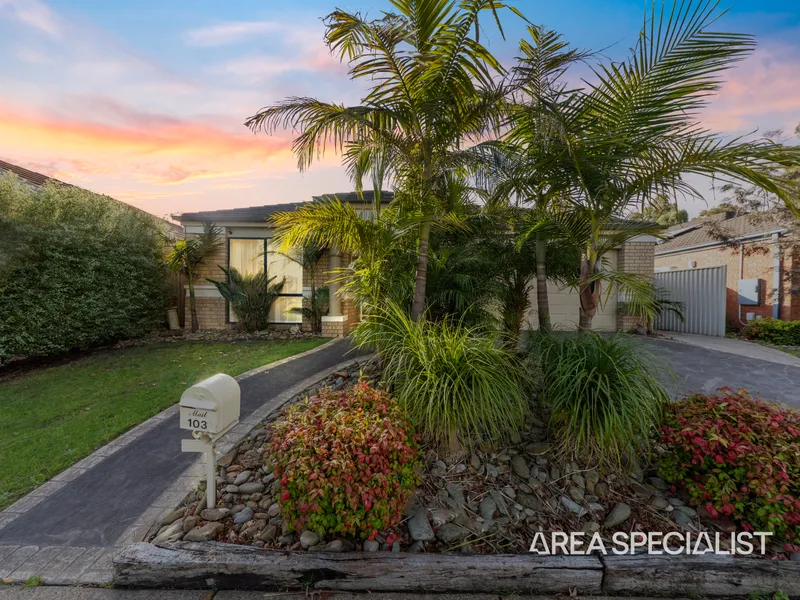 The Brief: : Discover Your Dream Home