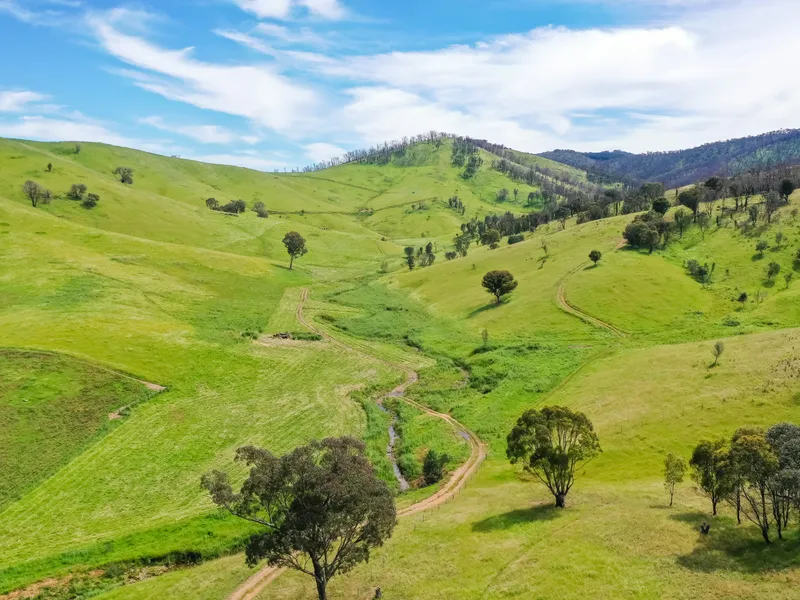 'ROCKVIEW' - QUALITY UPPER MURRAY GRAZING PROPERTY - 1,255 ACRES - 514.77 HA
