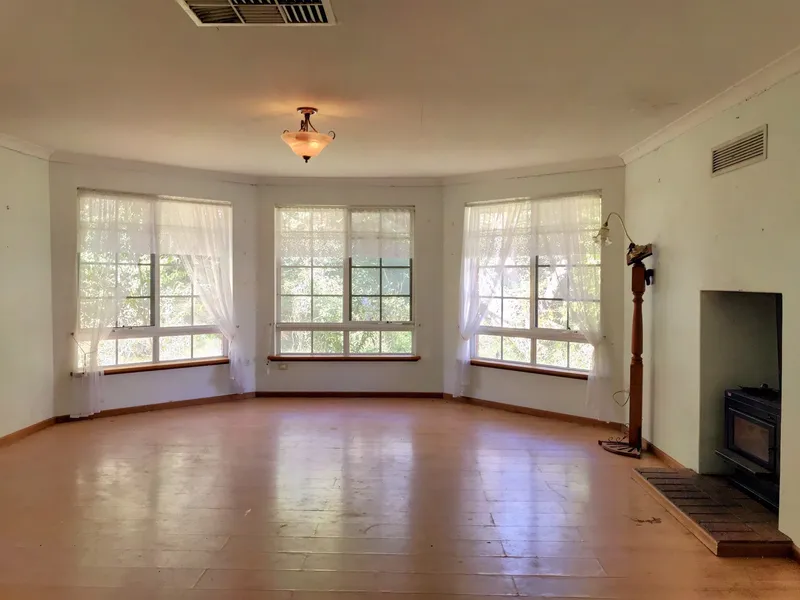 LET YOUR IMAGINATION RUN WILD