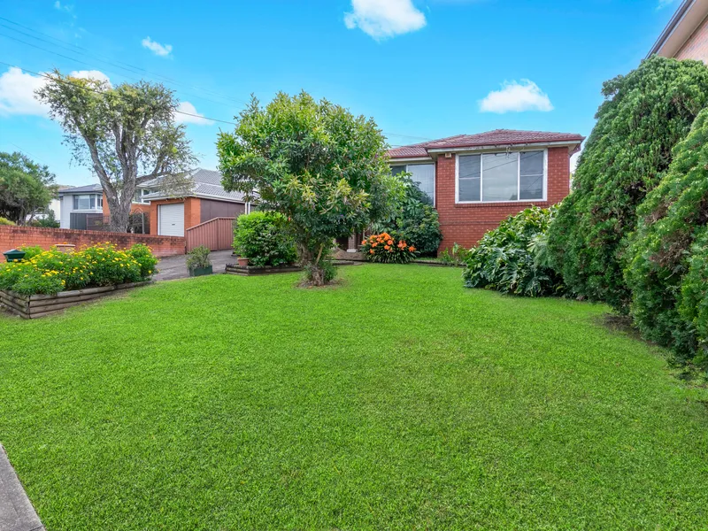 Options galore for the wise buyer!