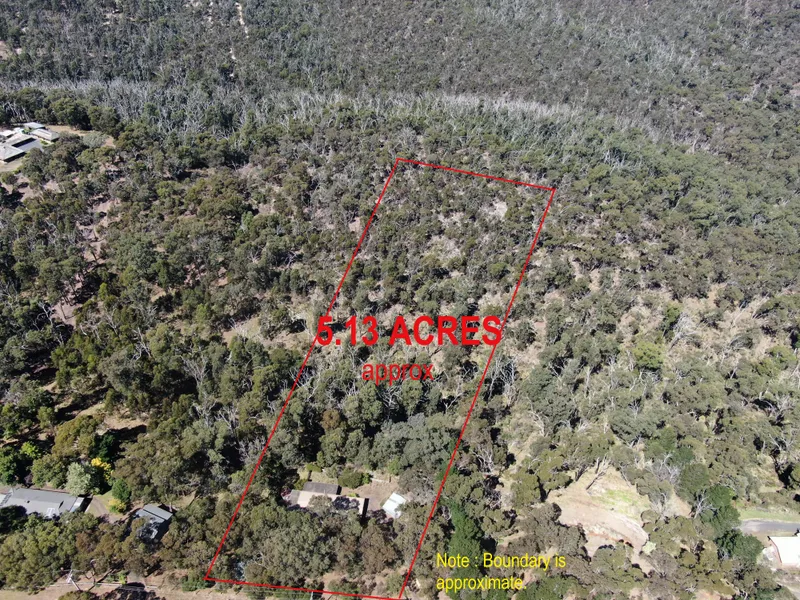 Tree change plus more