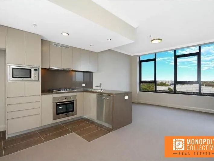 LUXURY CONVENIENT 1 BEDROOM APARTMENT