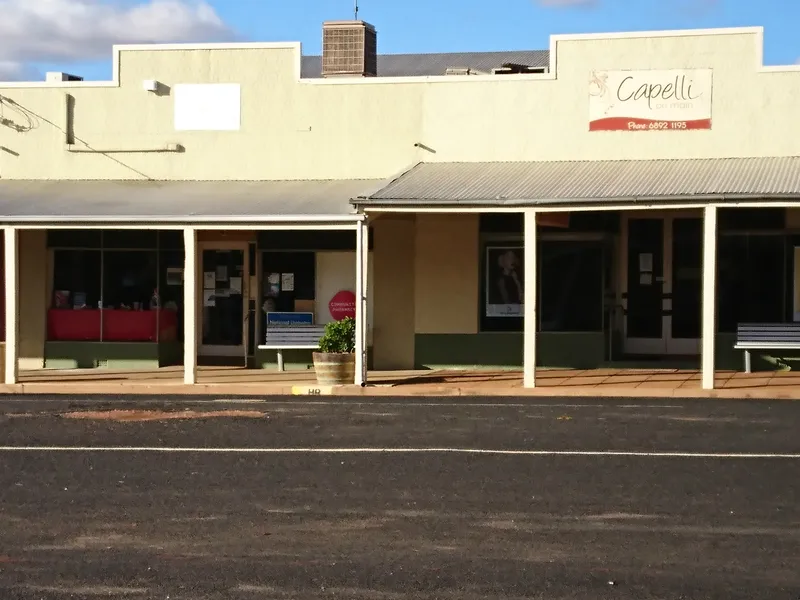 Residences & Shops with Income in Trundle NSW