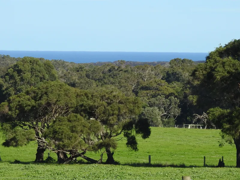 LARGE PARCEL OF LAND WITH DISTANT INDIAN OCEAN VIEWS - 369 ACRES