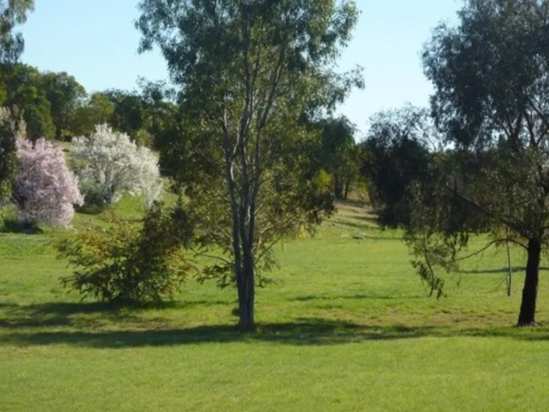Over 2 Acres In Town