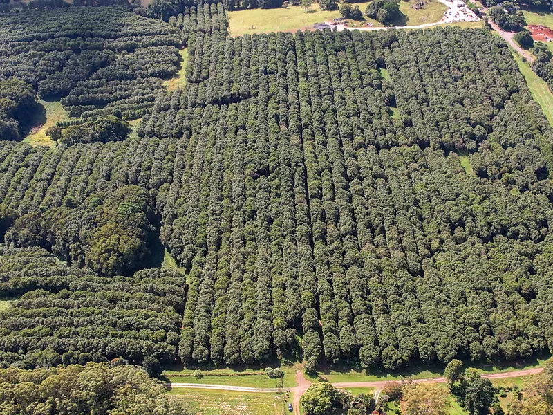 A Blank Canvas Opportunity, 36 Hectare Working Farm on Elevated Land