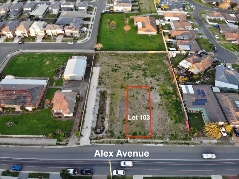 Vacant Land in Schofields