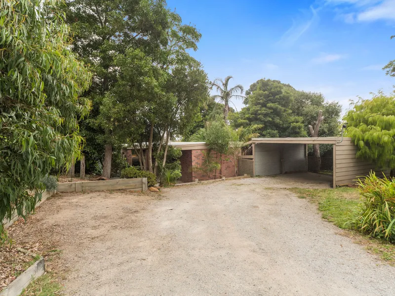 Summerhill Sanctuary