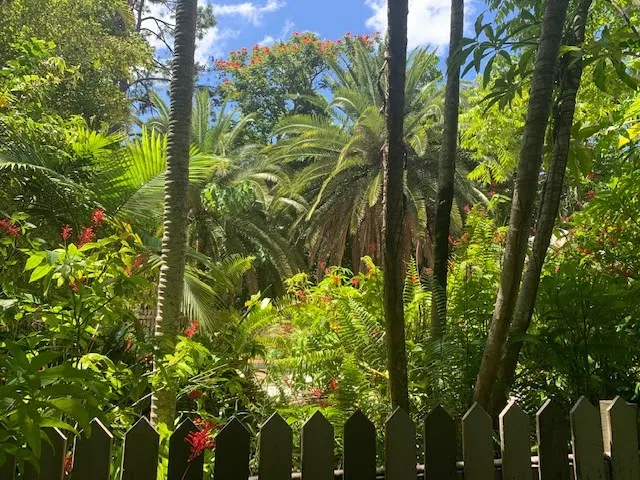 A RARE 5.8 ACRE TROPICAL PARADISE